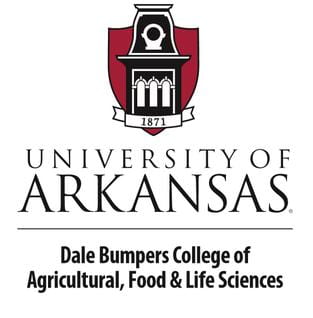 UA Bumpers College