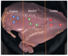 Hyperspectral imaging setup